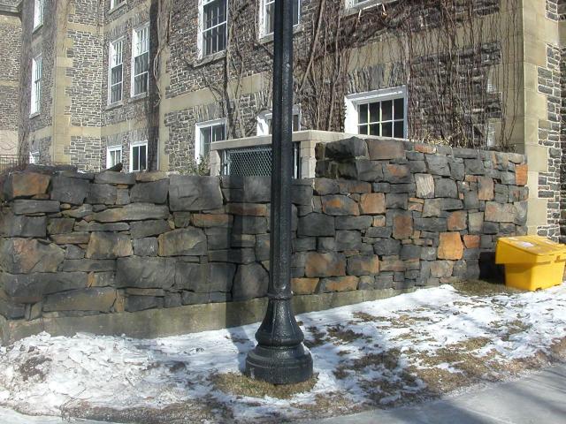 Dalhousie University